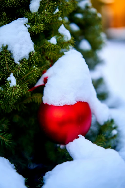 a christmas tree covered with snow and a red bauble