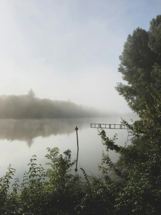 a view of a body of water next to trees in the morning