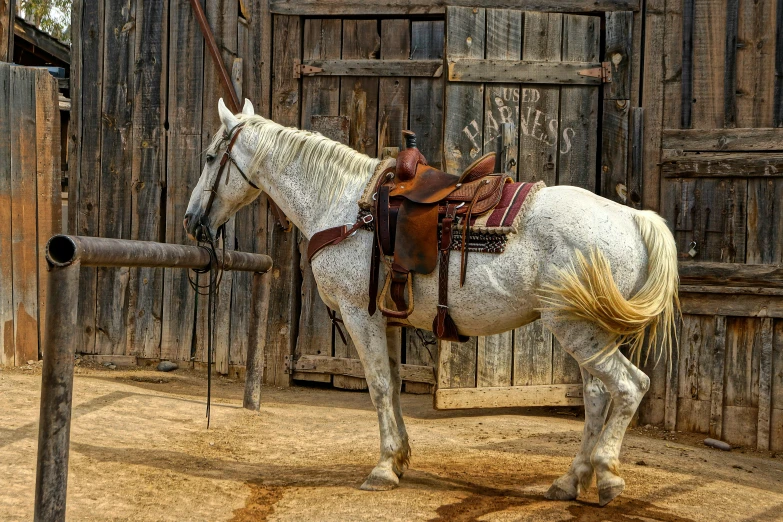 a white horse with saddle next to a wooden fence