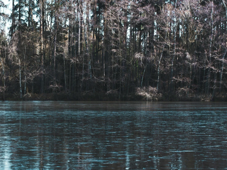 a man stands in the water and paddles a boat on a river