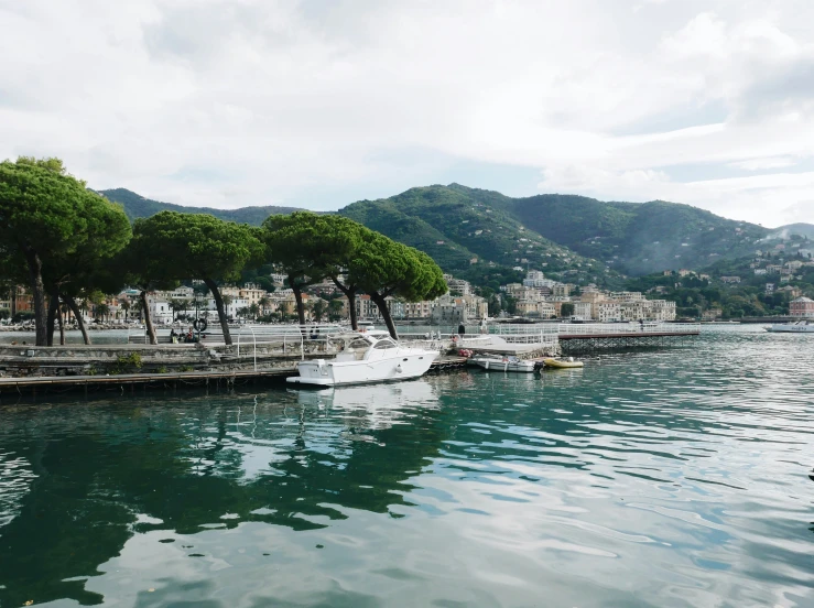 a marina with boats and mountains in the background