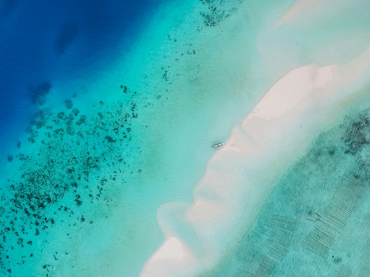 aerial view of green, blue water and sandy shore