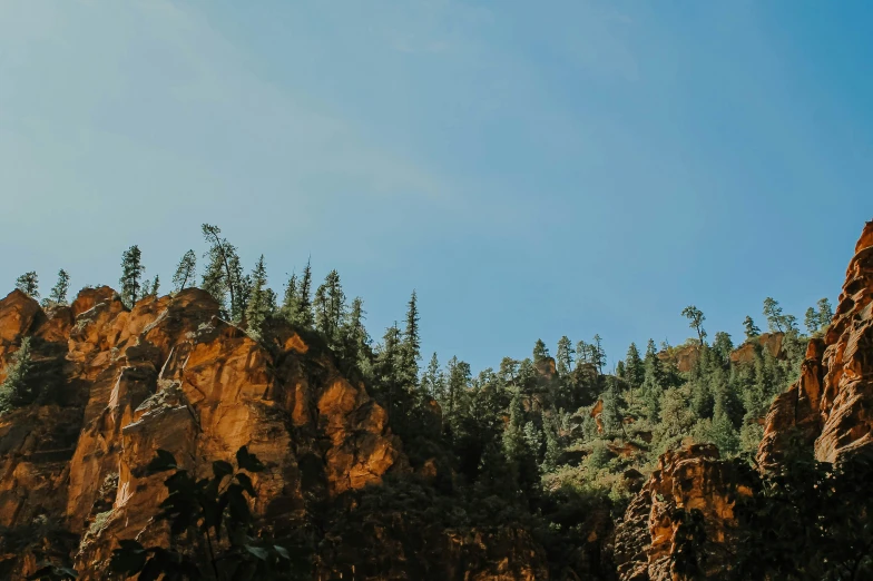 some trees are near the rocks and sky