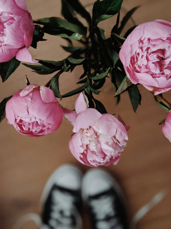 pink roses in a vase and someones feet