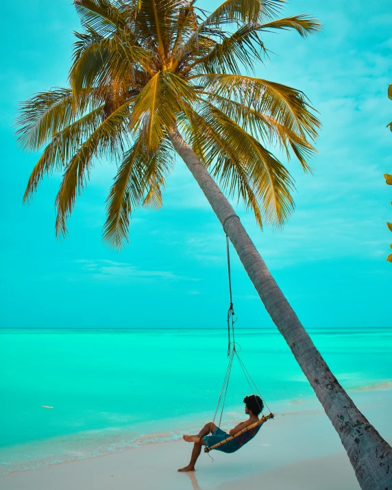 man laying on a swing under a palm tree