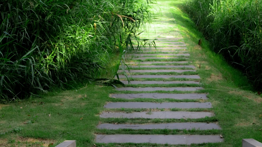a walkway made of concrete with grass in the background