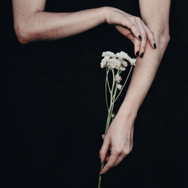 a woman's hands holding flowers and a stem