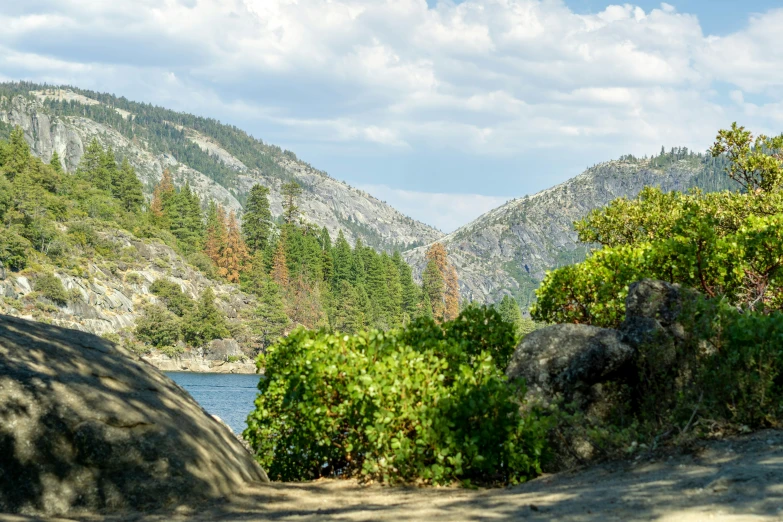 a scenic view of a tree filled mountain range