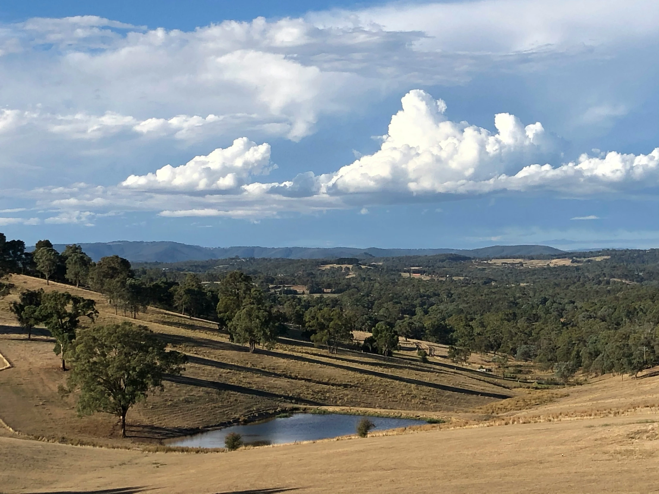 a po of a lush green valley and blue sky with white clouds