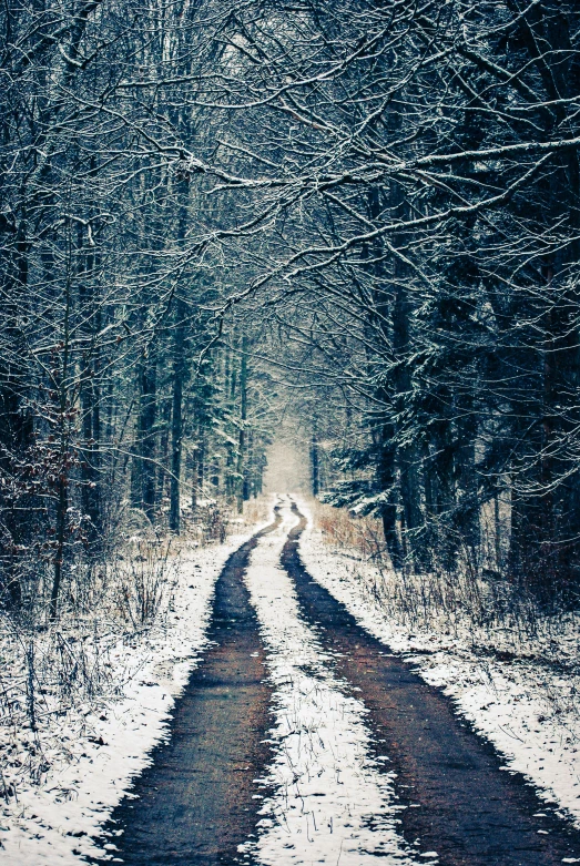 a long and winding road in the snow