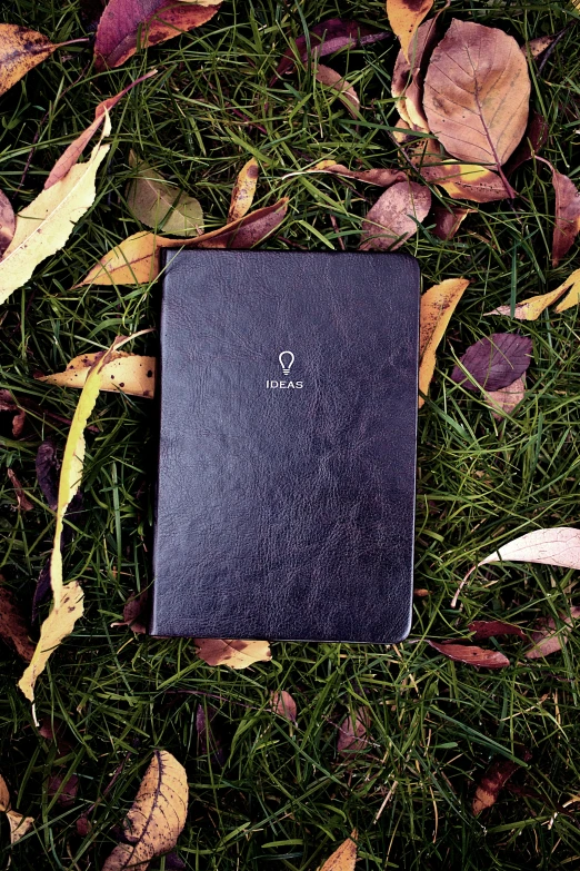 a black book laying on top of a lush green grass covered field