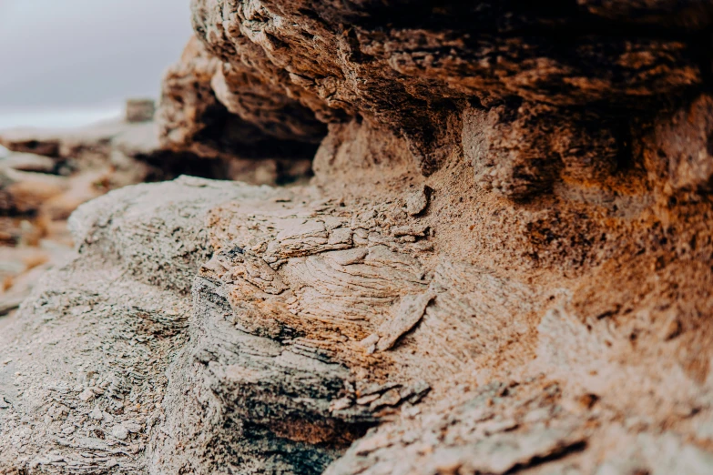 several different rocks with some green plants