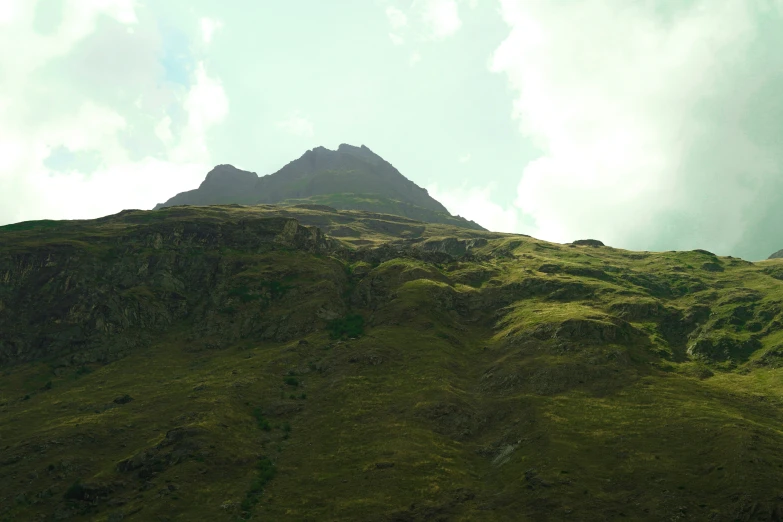 a grassy hill covered in green plants and a very tall mountains