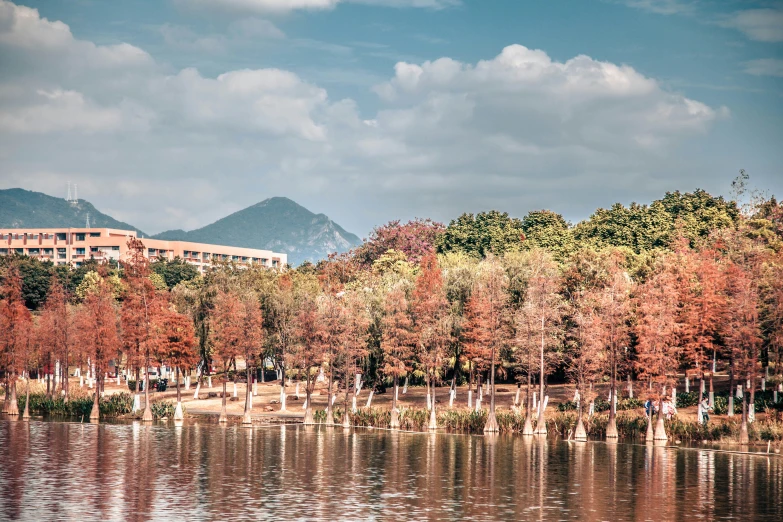 an outside view of some water with trees with red foliage