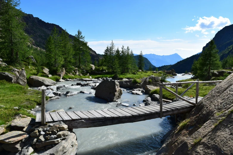 an elevated foot bridge crosses a stream in the woods