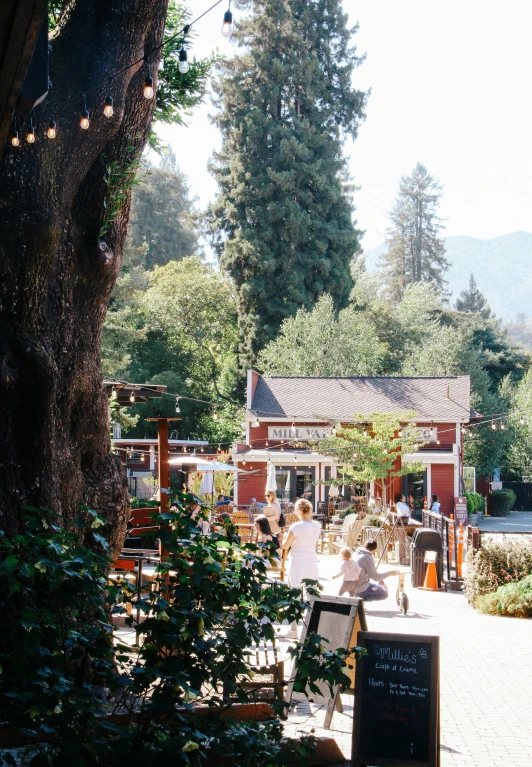 people gathered at tables with many tables near trees