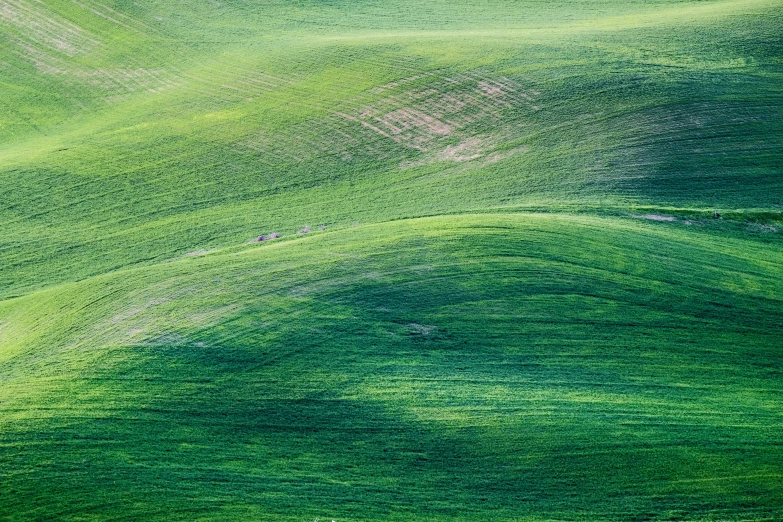 some grass is shown as it has been mowed down