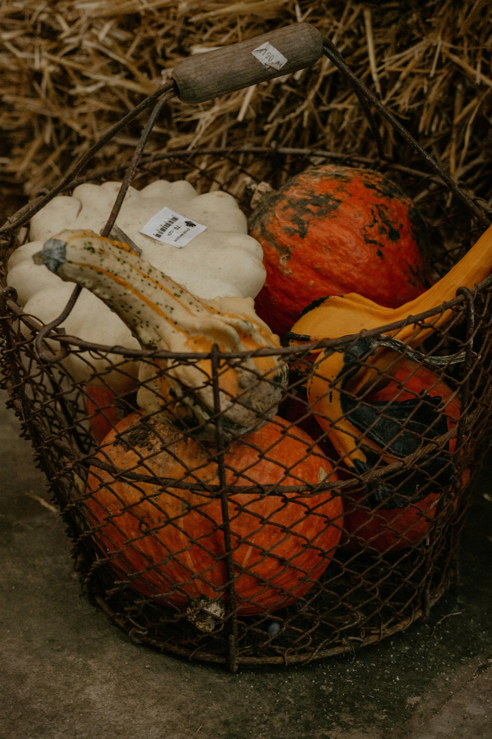 a basket full of pumpkins and an empty knife