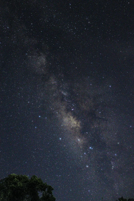 some dark sky with stars over some trees