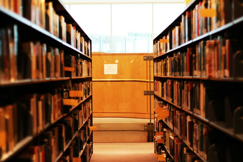 the shelves of a liry full of books