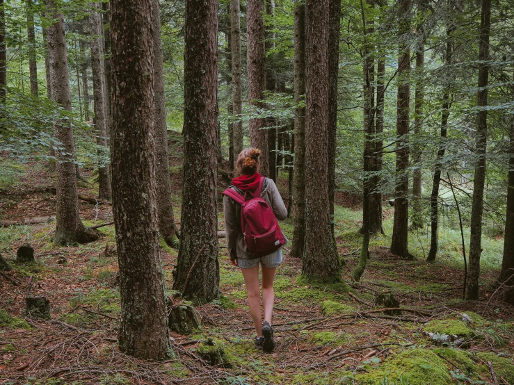 a person walking through a forest with a backpack