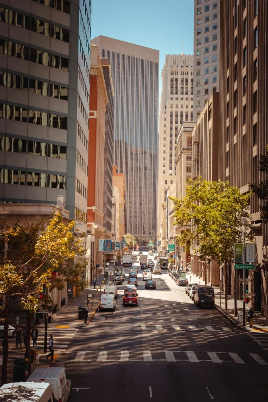 city street with cars and tall buildings in the background