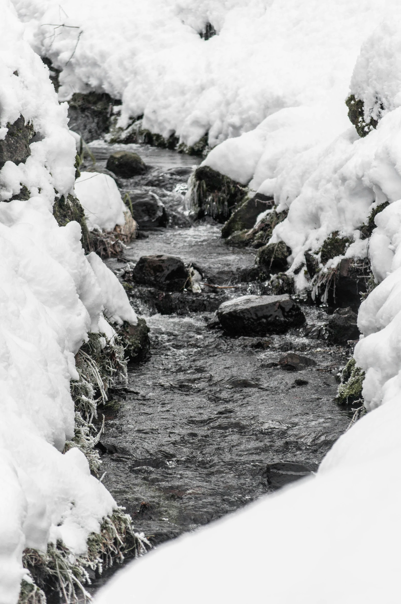 a stream in a snowy, icy scene