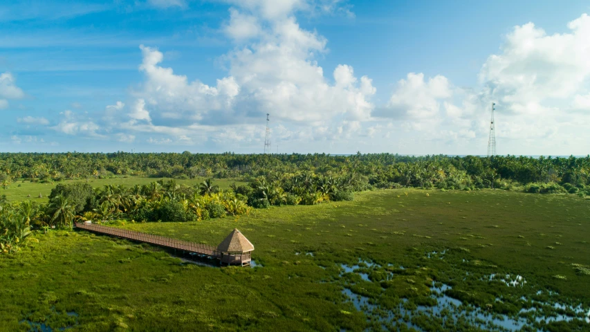 an aerial s of a tropical area with trees, water and buildings