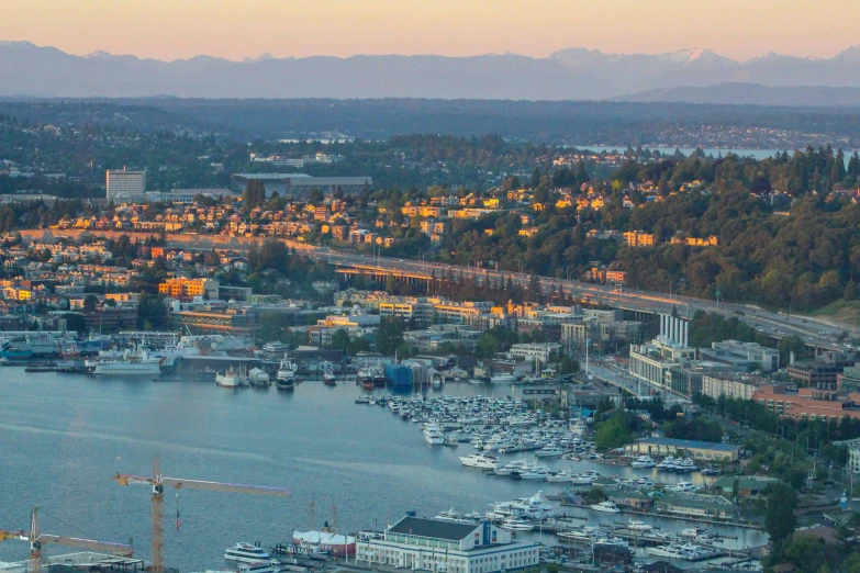 the harbor in this city has a lot of boats in it