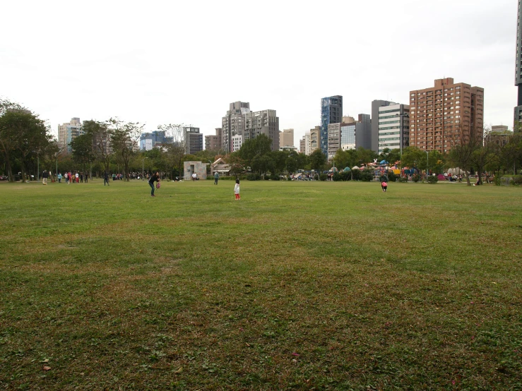 a group of people in a park flying kites