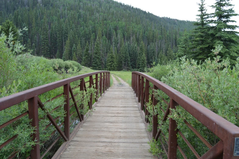 a red wooden bridge leads to a clearing in a forrest