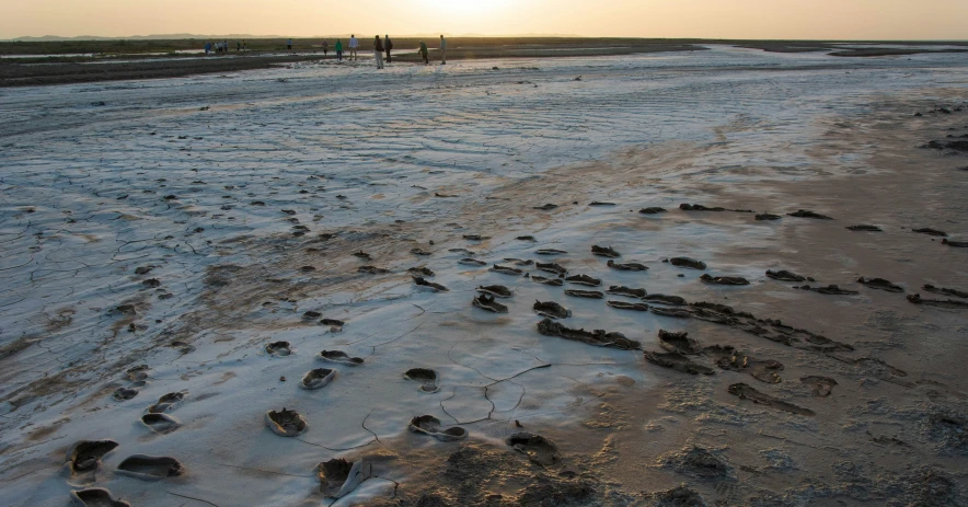 footprints in the snow, and there is only one person walking on the sand