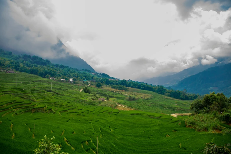 a hillside with lots of green grass and a cloudy sky