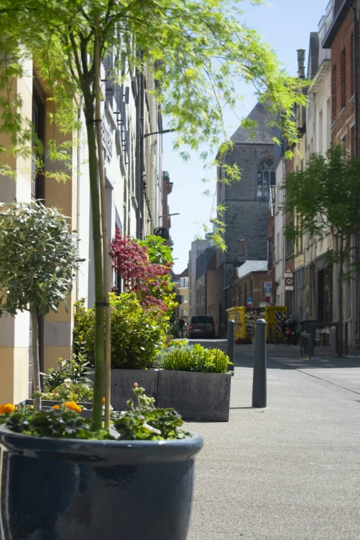 a street in a large city has many planters