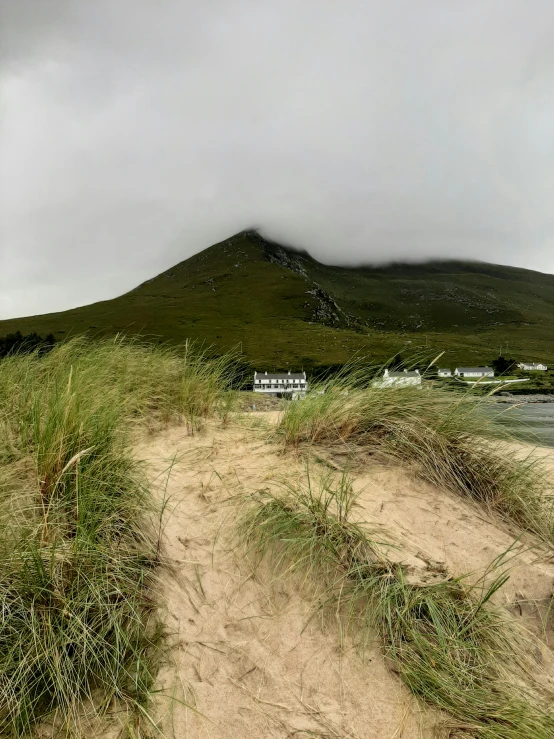 a grassy hill with a street sign on the side