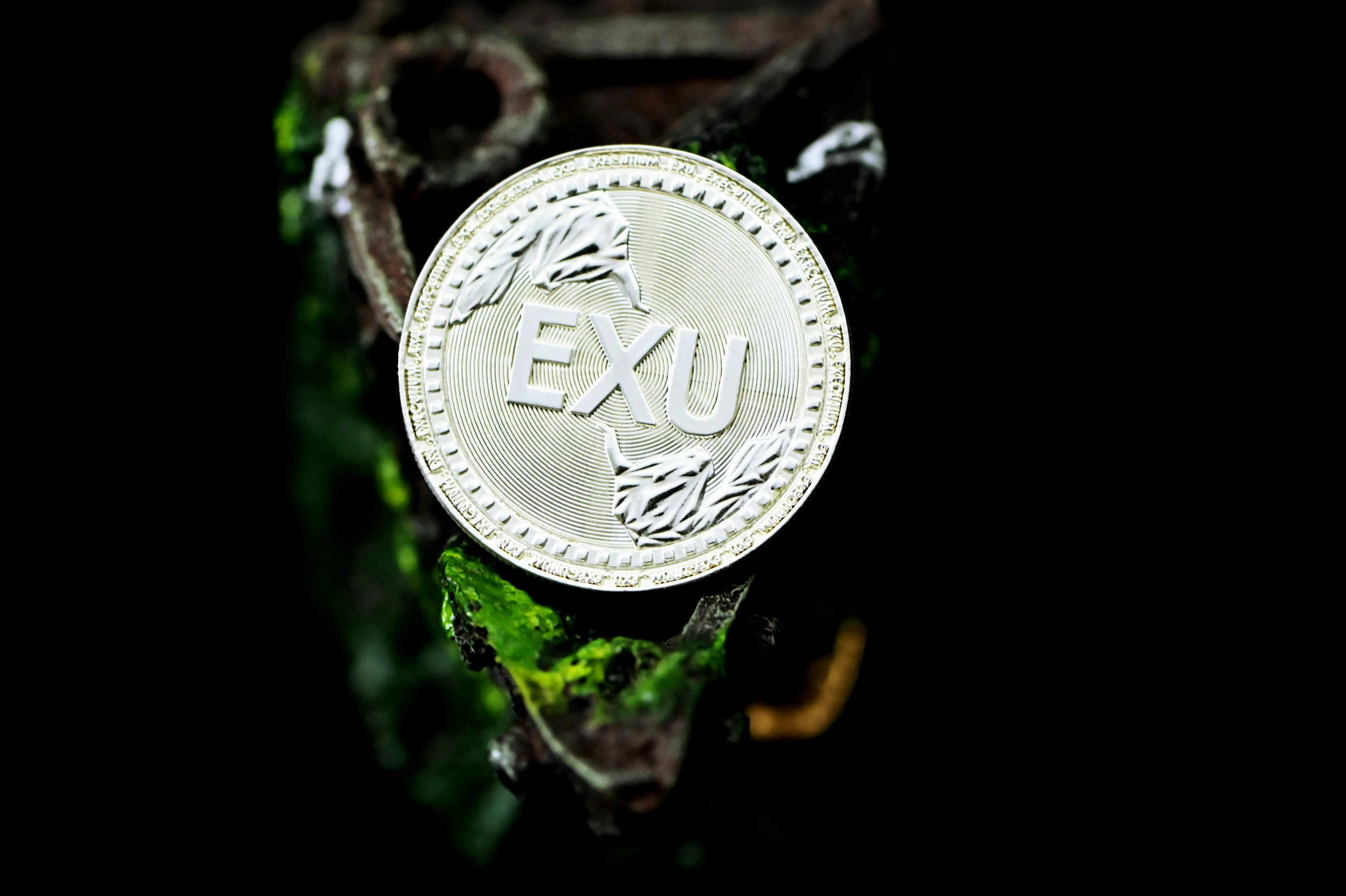 a coin on top of a tree with roots