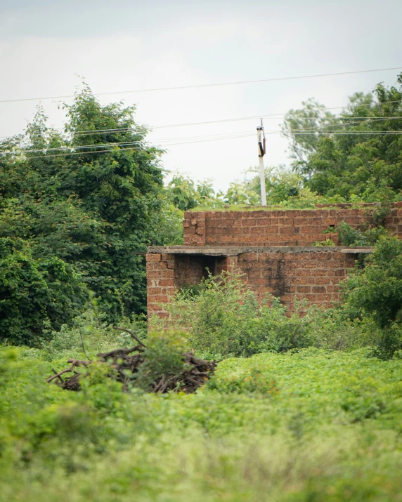 an old brick wall near green foliage and power lines