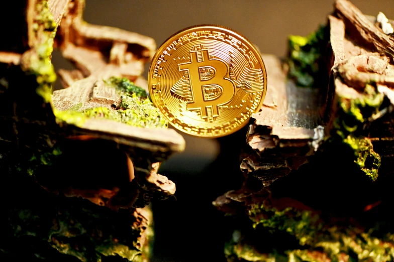 bitcoin and moss grows on the surface of this miniature world