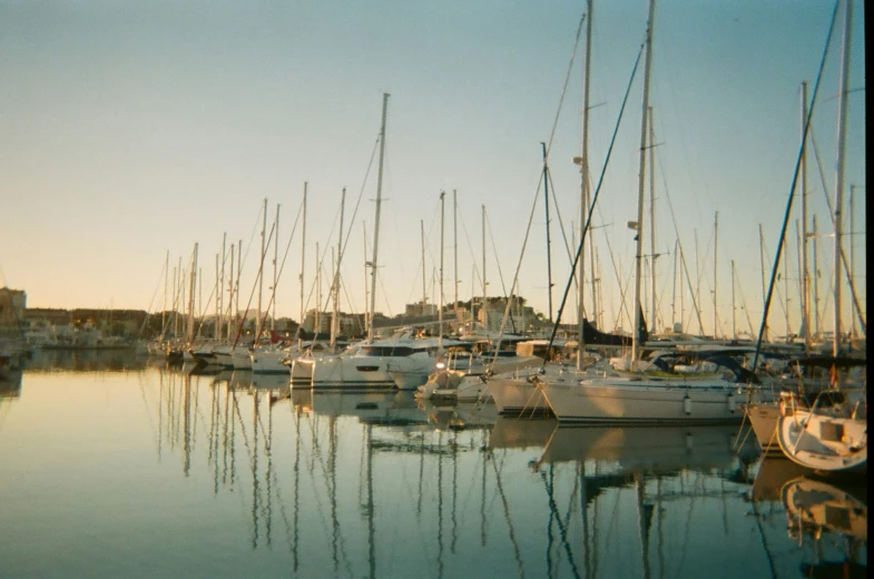 a large number of sailboats in a marina