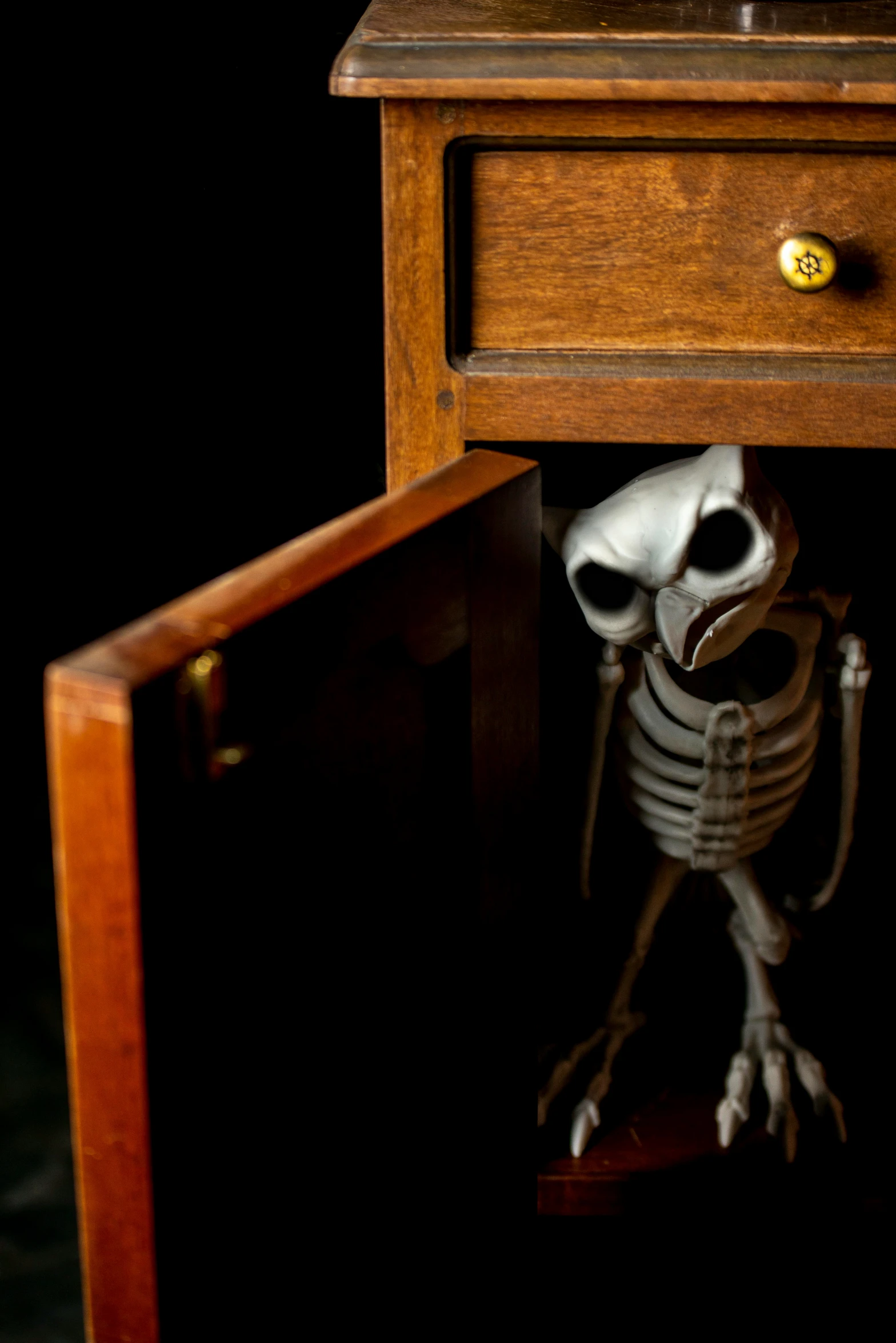 there is a skeleton inside of a drawer