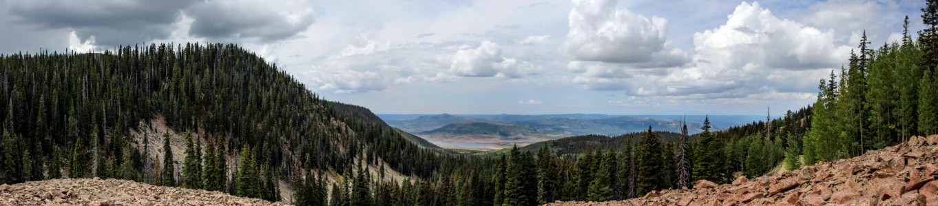 many trees on the side of a mountain and a lake