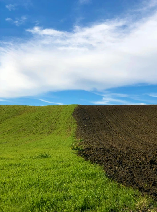 a person with a suitcase is walking through the fields