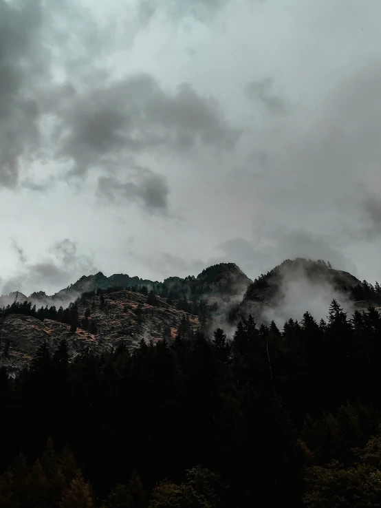 a landscape of clouds rising over trees and the tops