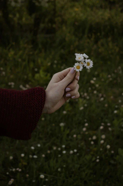 the person is holding out their hand with a flower in front