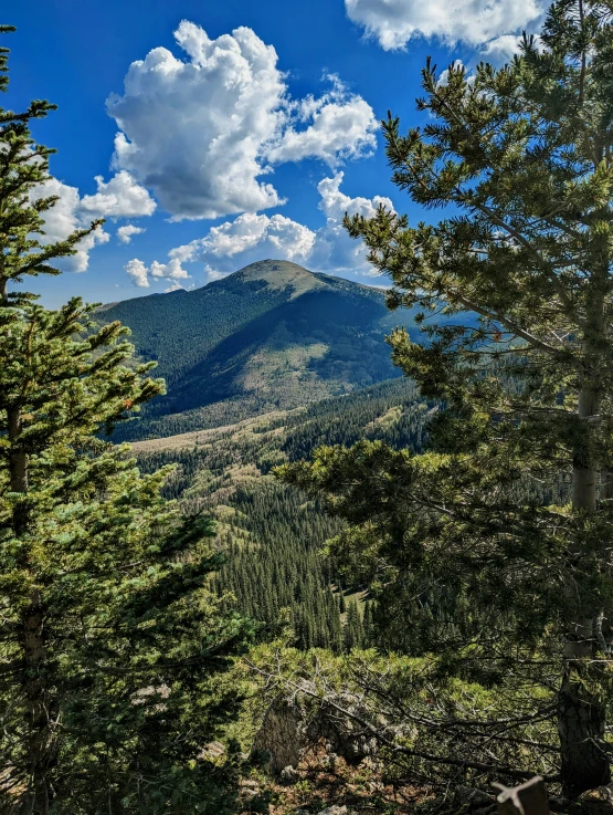 trees with mountains in the background under clouds