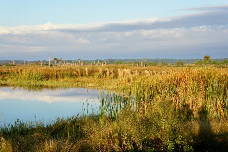 a body of water sitting between two land areas