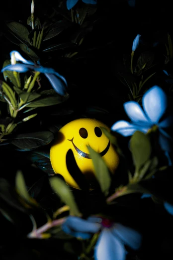 a smiley face is on a yellow object surrounded by blue flowers