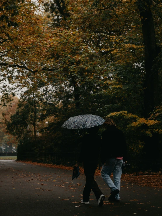 two people walk under umbrellas down a path