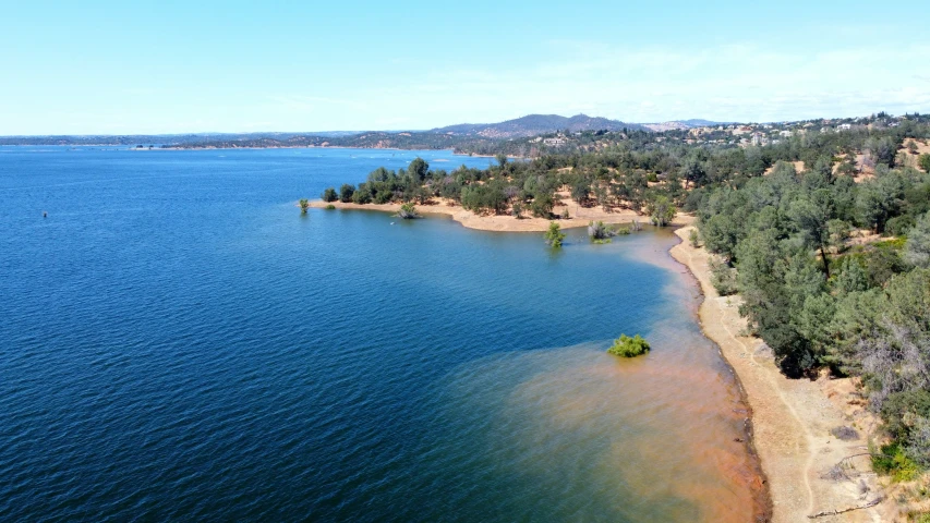 an aerial po of the ocean shore near some trees