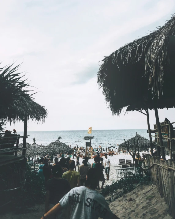 a beach filled with lots of people sitting under palm trees